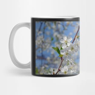 Cherry flowers Mug